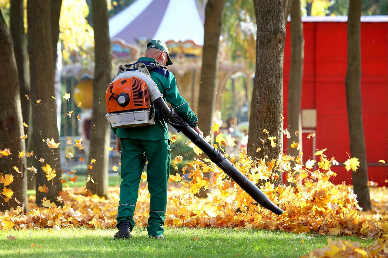 Tree Services