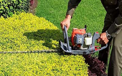Edging & Trimming
