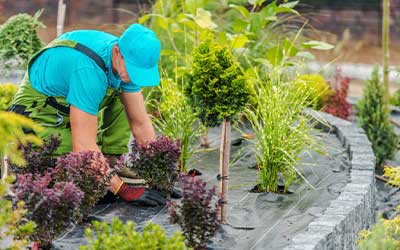 Landscaping Services