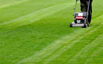 Lawn Mowing & Maintenance
