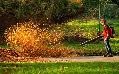 Leaf Removal & Seasonal Clean-Up