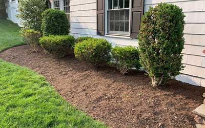 Mulching & Edging Service