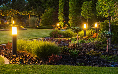 Outdoor Landscape Lighting