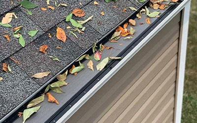 Leaf Guard Installation