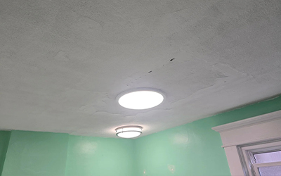 Plaster Repair