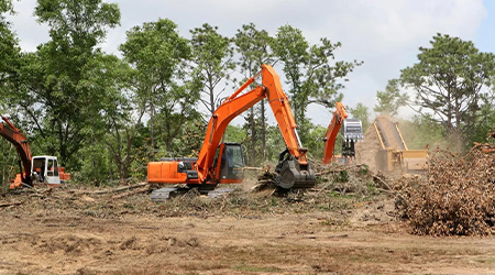 Tree Removal